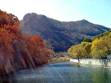 新澳天天免费资料大全，石景山seo建站